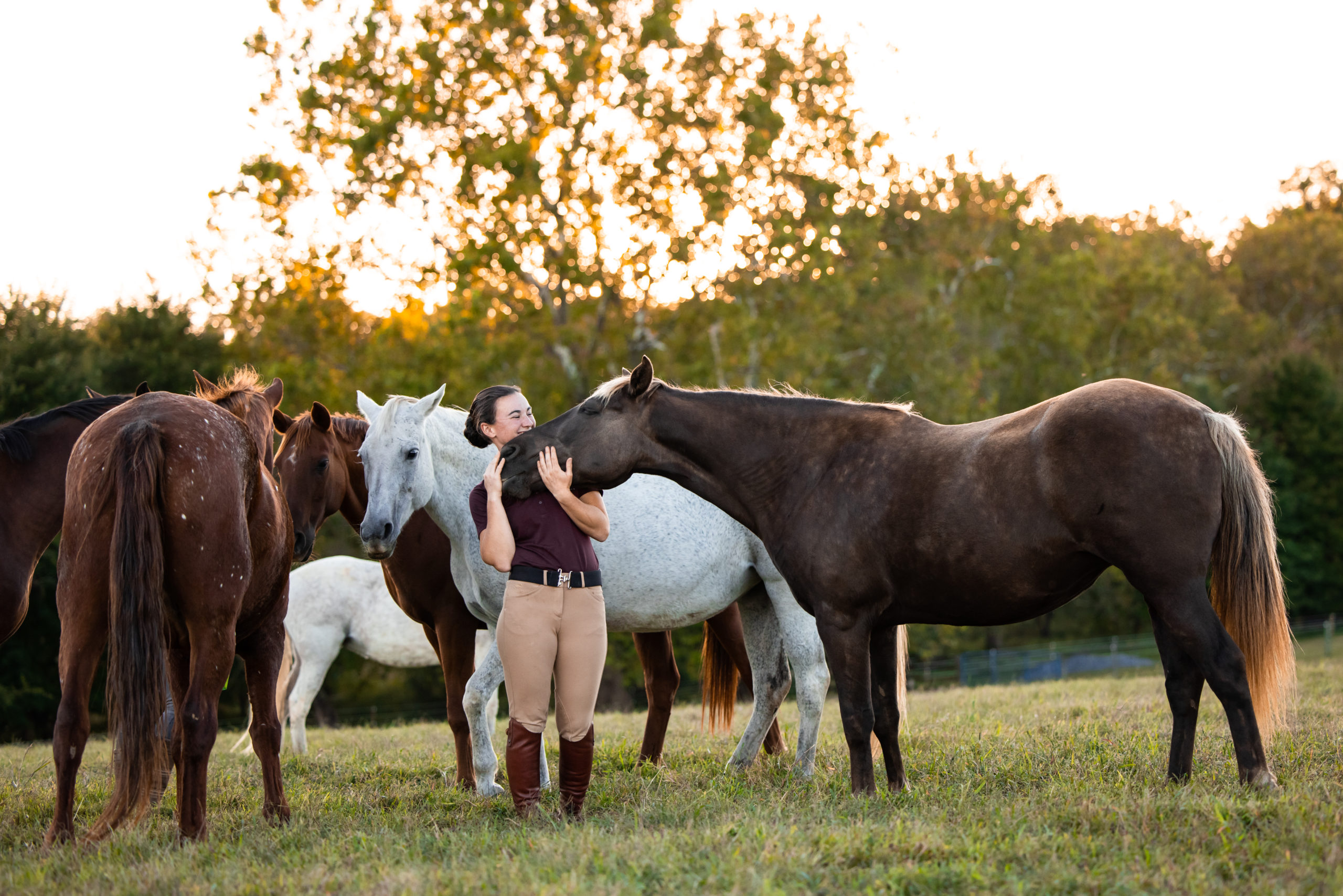 days end farm horse rescue internship