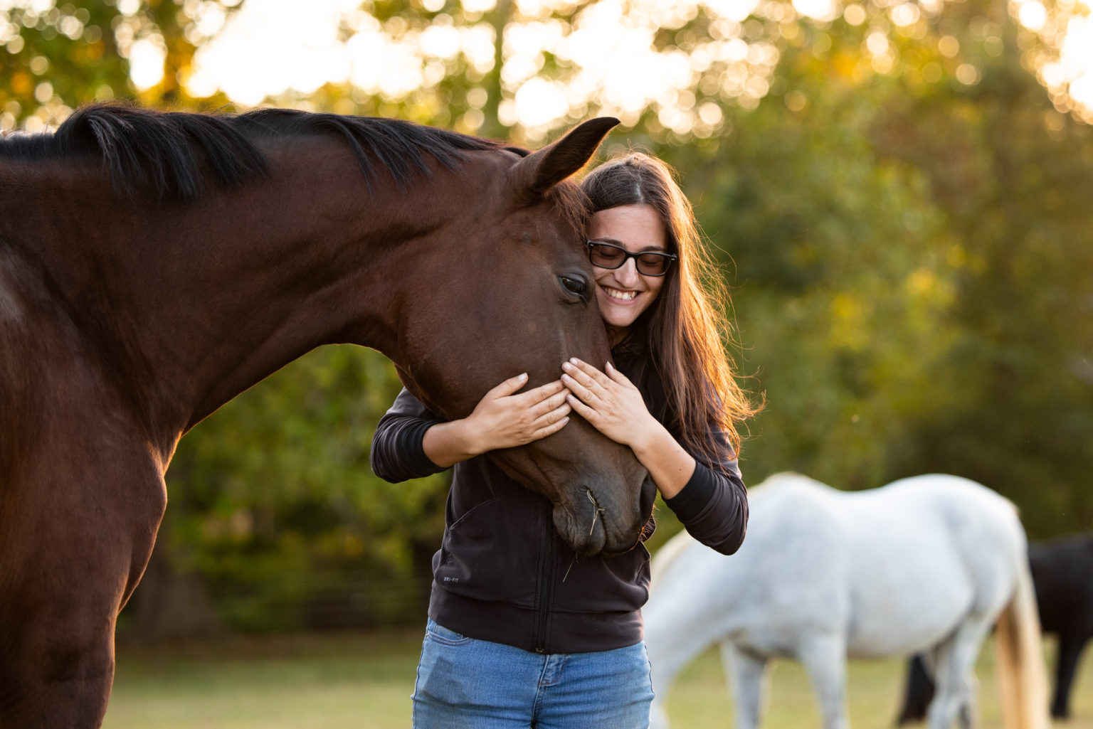 About Days End Farm Horse Rescue
