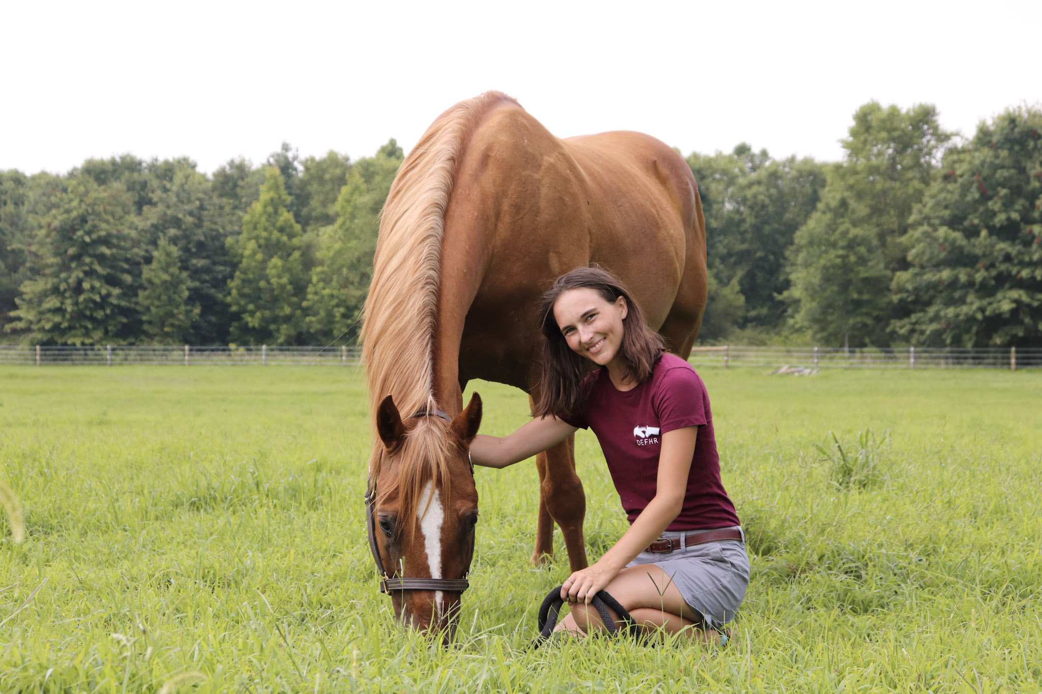 Internships Days End Farm Horse Rescue