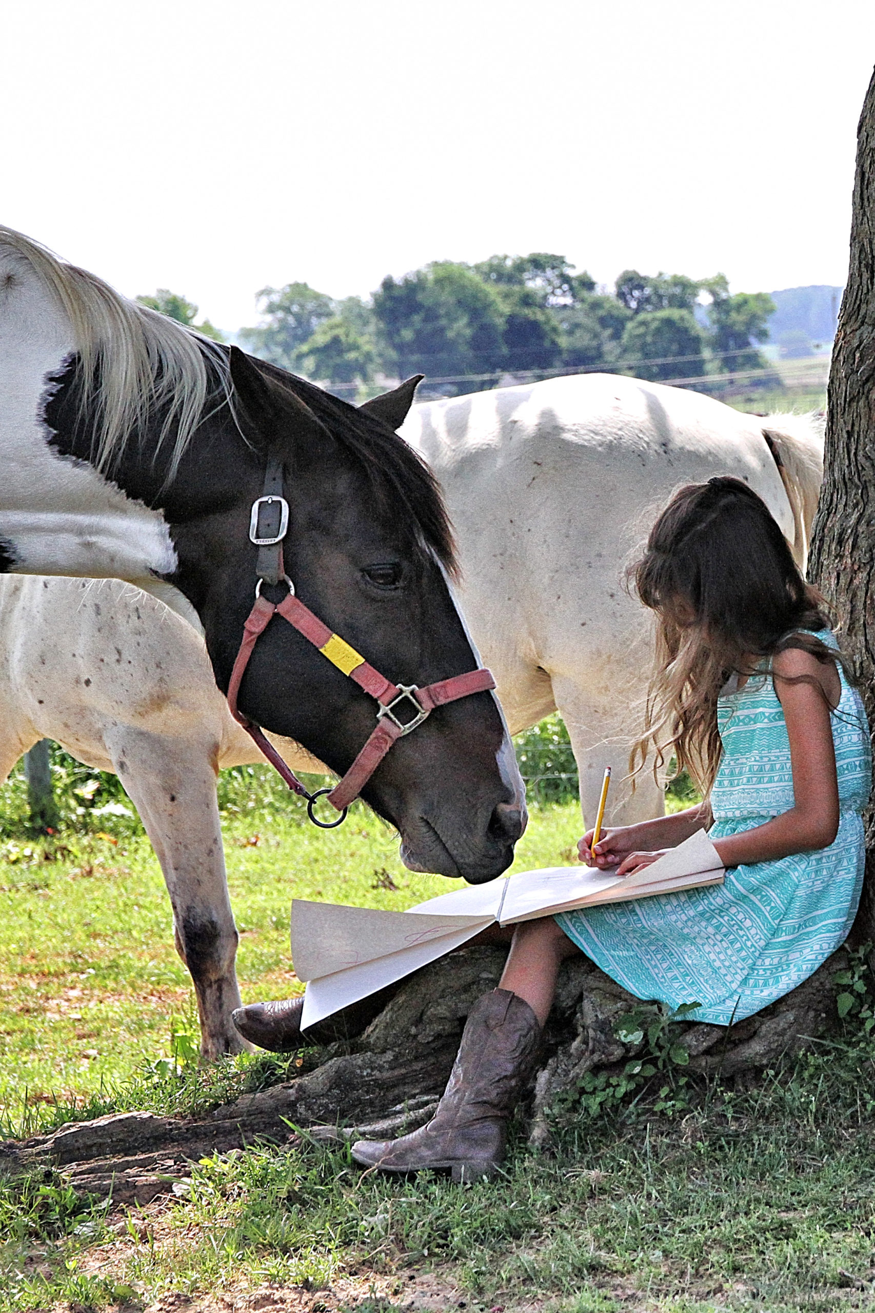 Read to Rescue Horses in Need