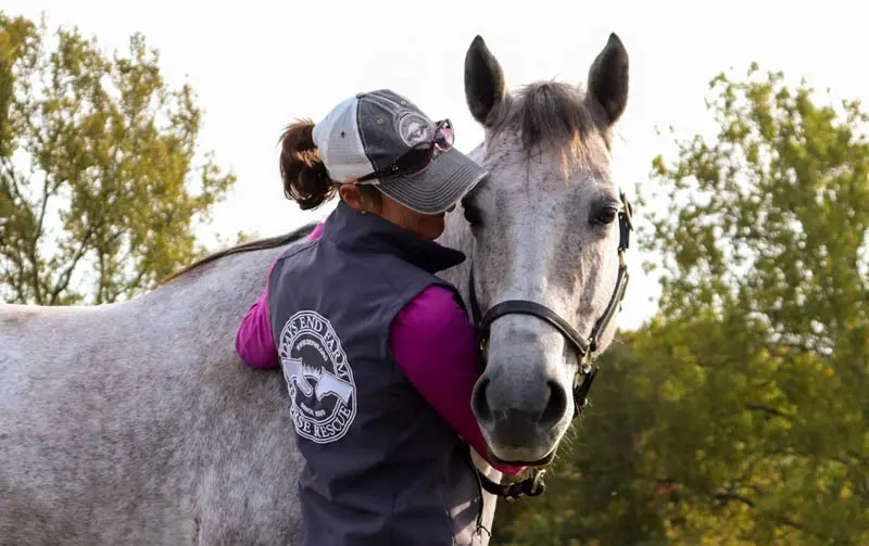 New Zealand Horse Talk Magazine: Horse rescue farm takes over equine transition service