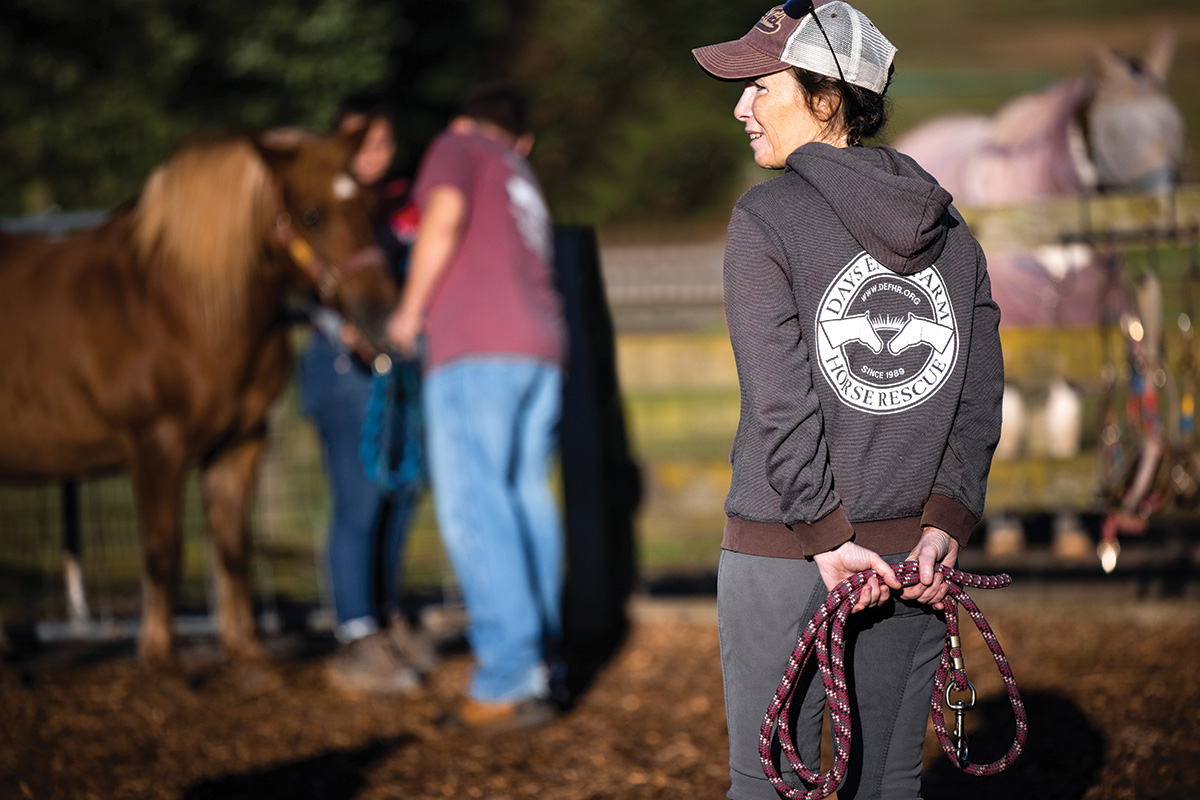 2-horse-rescue-volunteers