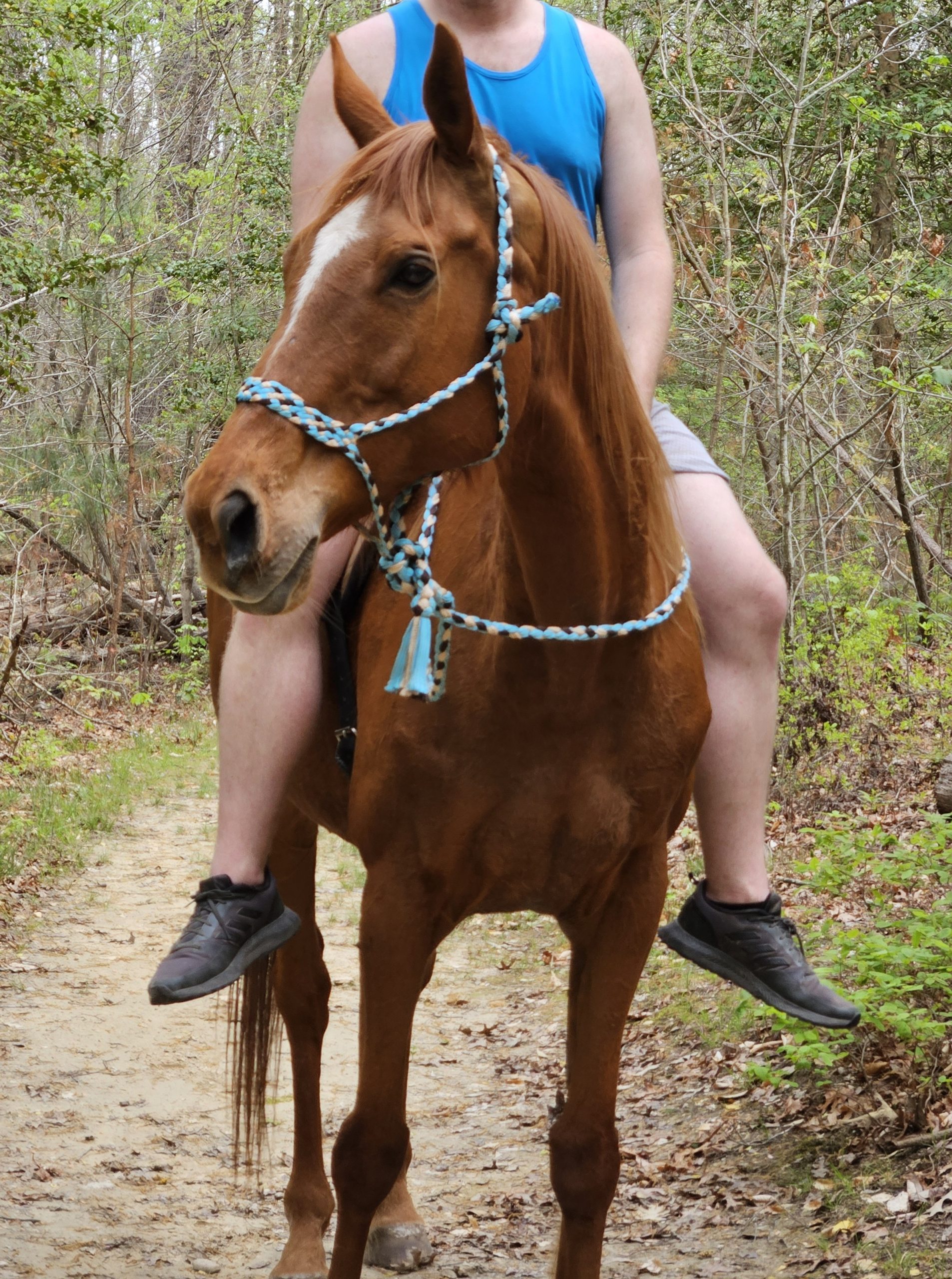 Cersei trail halter lead rope