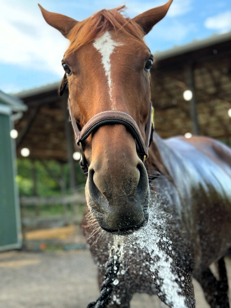 Cersei water