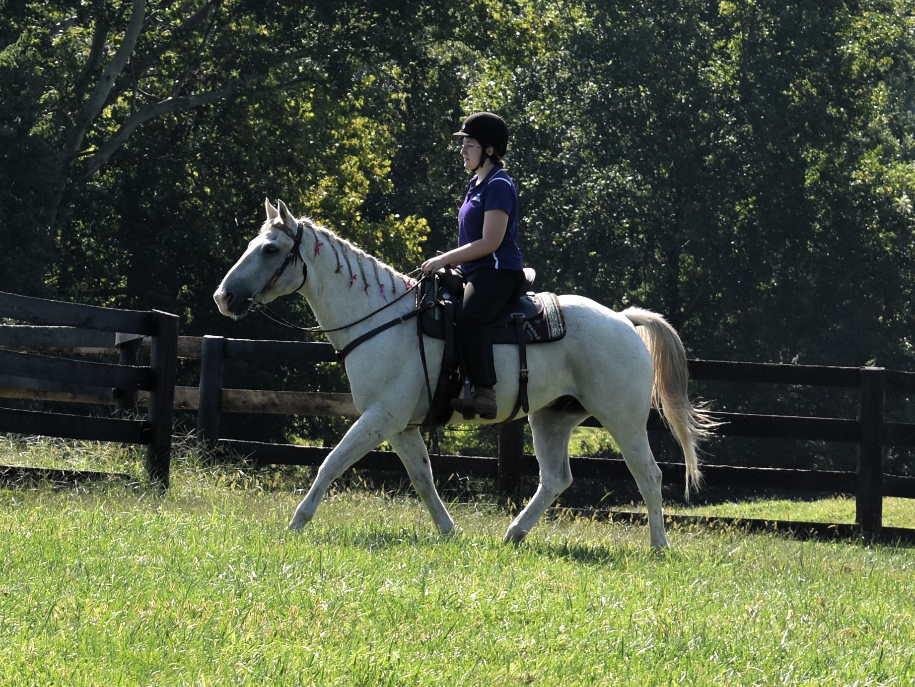 Hyde trot left field